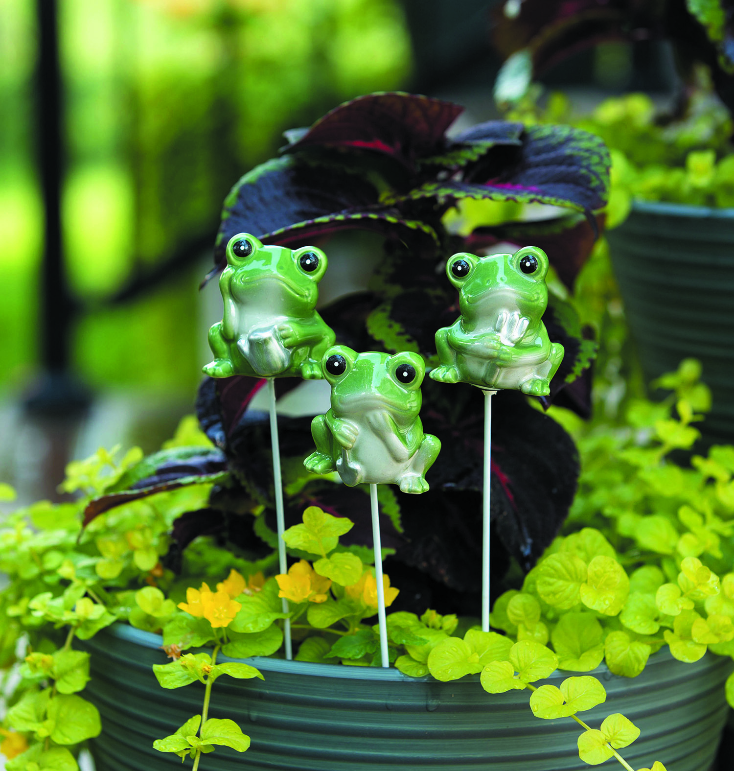 Porcelain Gardening Frogs