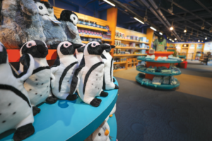 New England Aquarium Gift Shop. Photo by Vanessa Kahn.