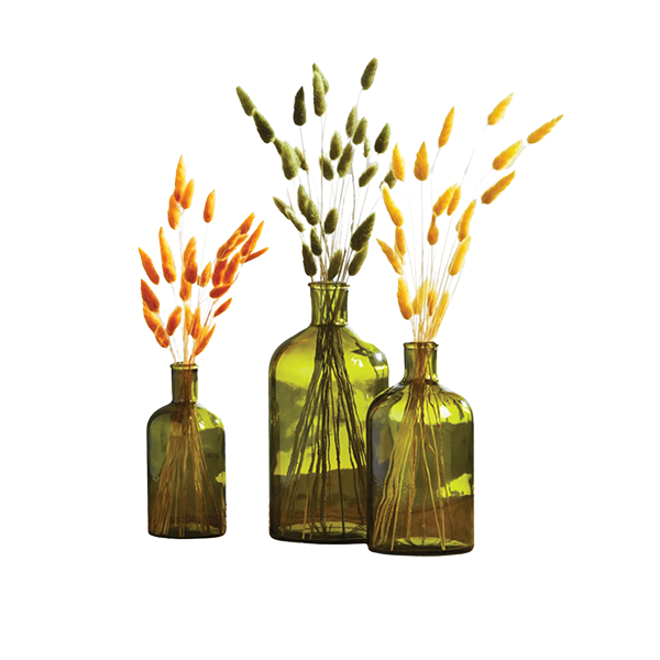 Preserved Fall Bunny Tails and Green Glass Bottle Vases